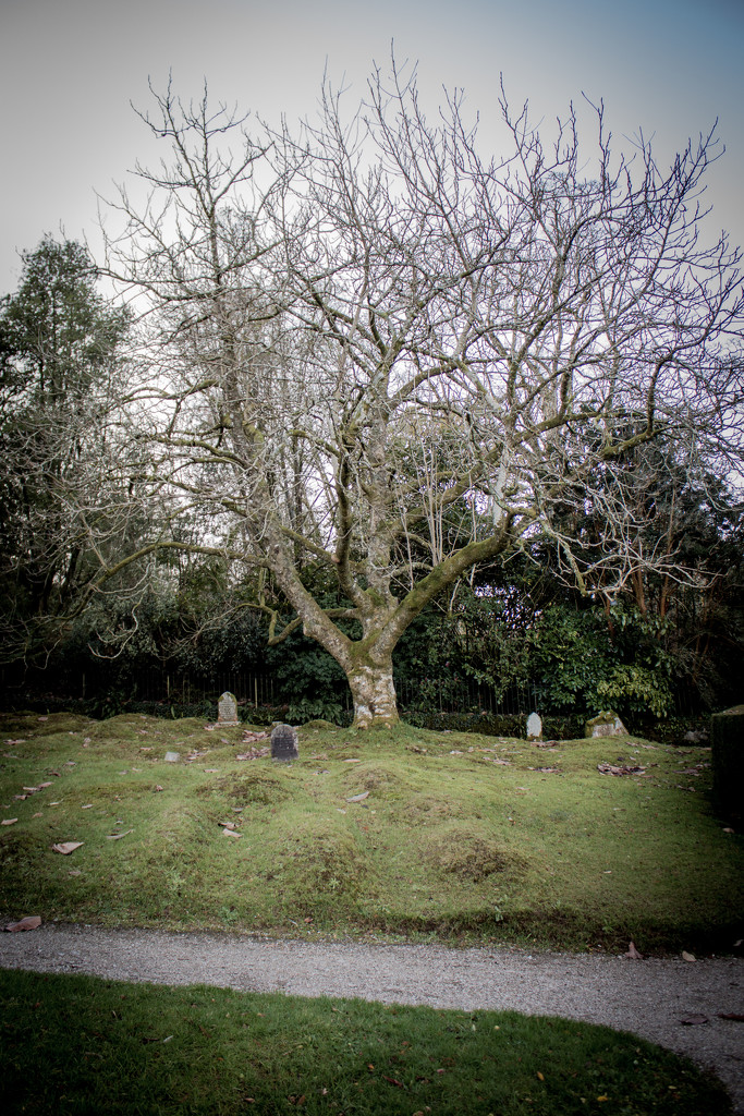 The unmarked graves by swillinbillyflynn