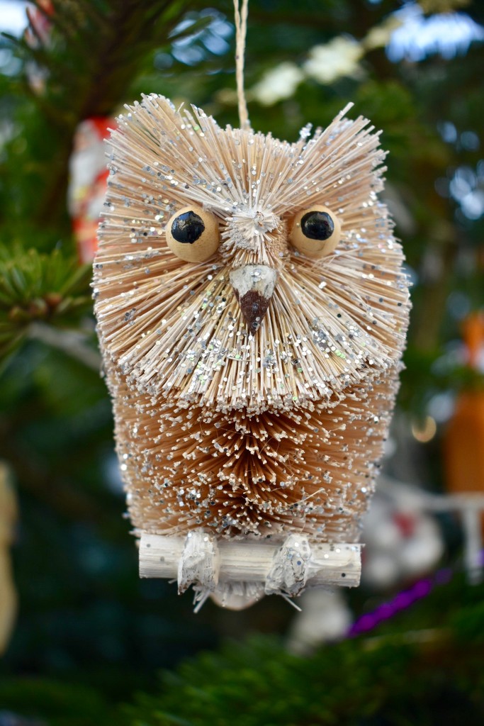 Christmas Tree Owl by gillian1912