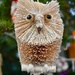 Christmas Tree Owl by gillian1912