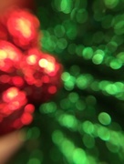 11th Dec 2017 - Christmas bokeh. 