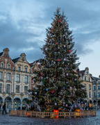 13th Dec 2017 - 344 - Christmas Tree at Arras