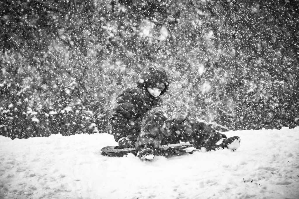 Snowfall by vera365