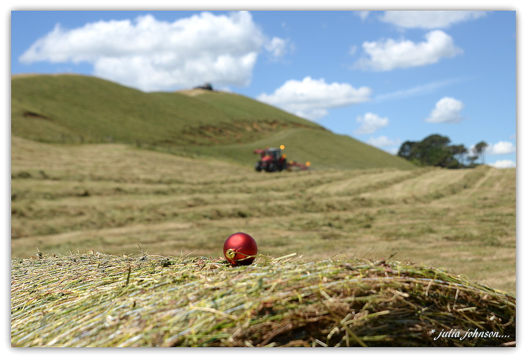 Christmas Bauble in the Hay Paddock... by julzmaioro