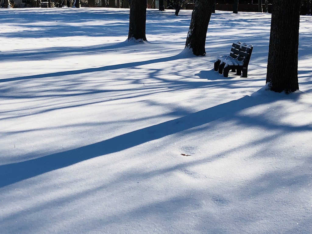 snow &shadows by amyk