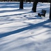 snow &shadows by amyk