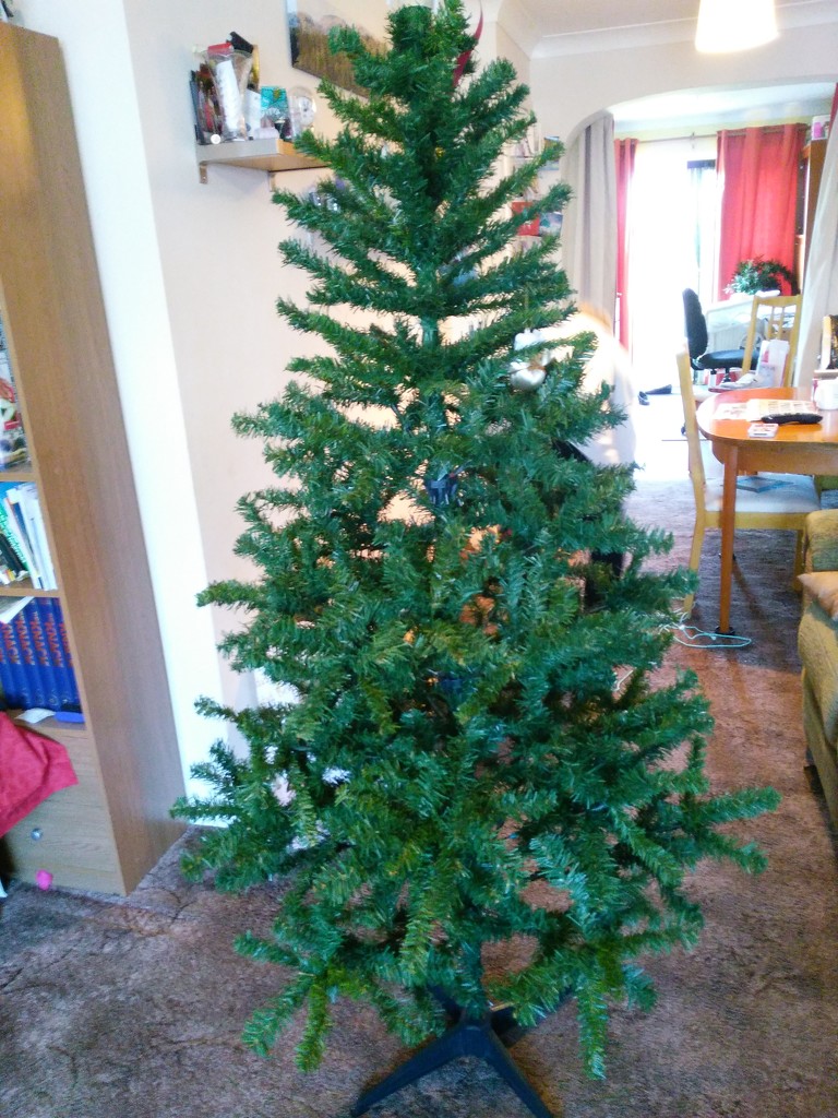 Christmas tree, bare by jmdspeedy