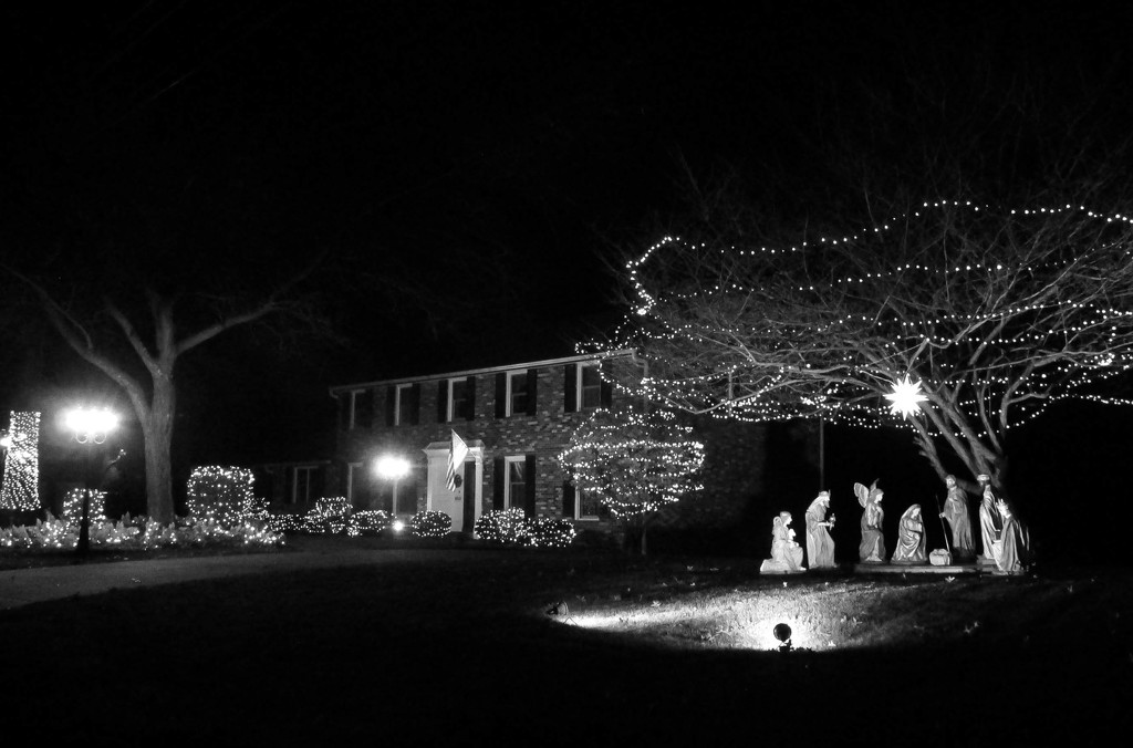 Holiday lights in B&W by mittens