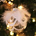 Furry Ornament by judyc57