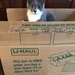 Lucy is ready to move! by graceratliff
