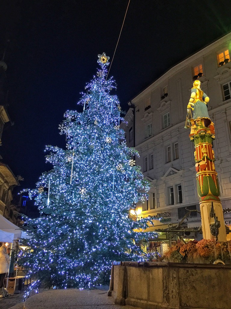  Christmas tree in Lausanne.  by cocobella