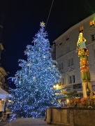 15th Dec 2017 -  Christmas tree in Lausanne. 