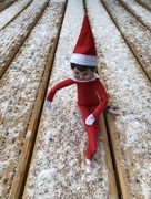 17th Dec 2011 - Elf races out to the snow!!