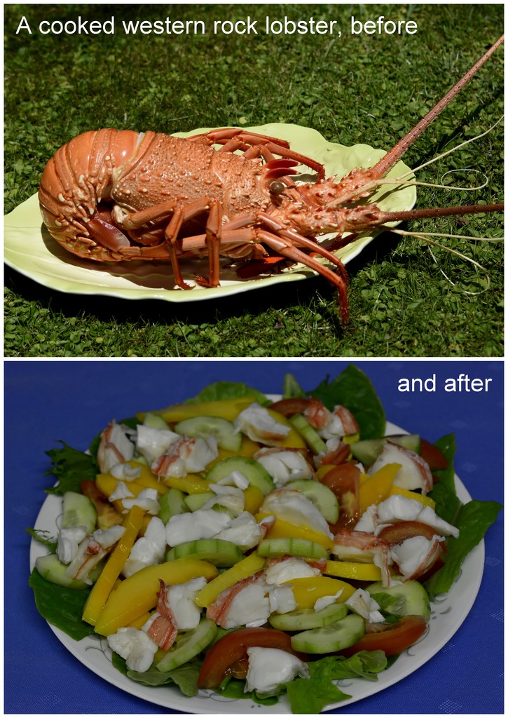 Crayfish Dinner 2017-12-16 by merrelyn