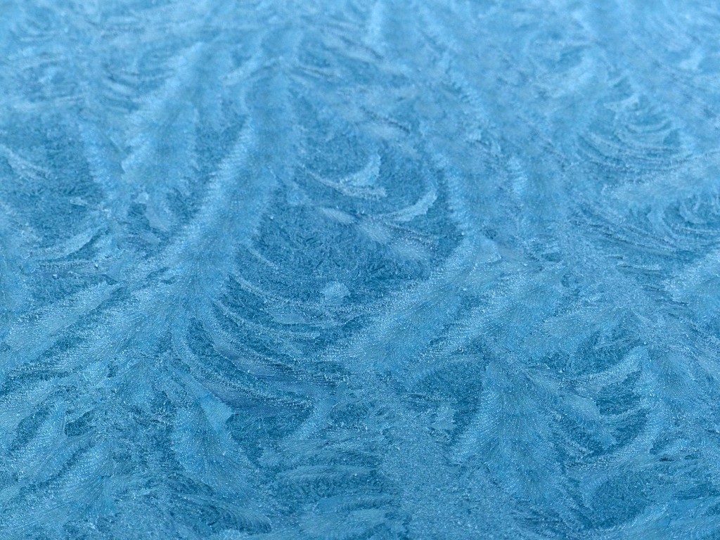 Frost on the Car by foxes37