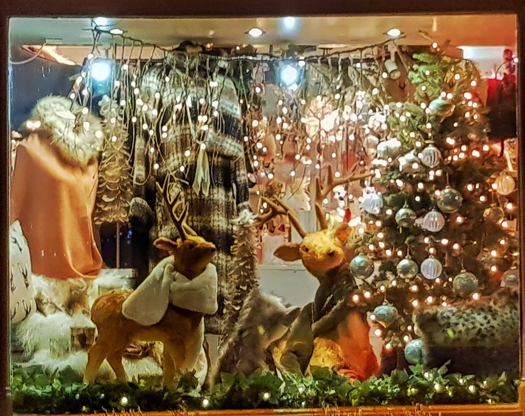Christmas Window by megpicatilly
