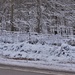 Winter Wonderland by caitnessa
