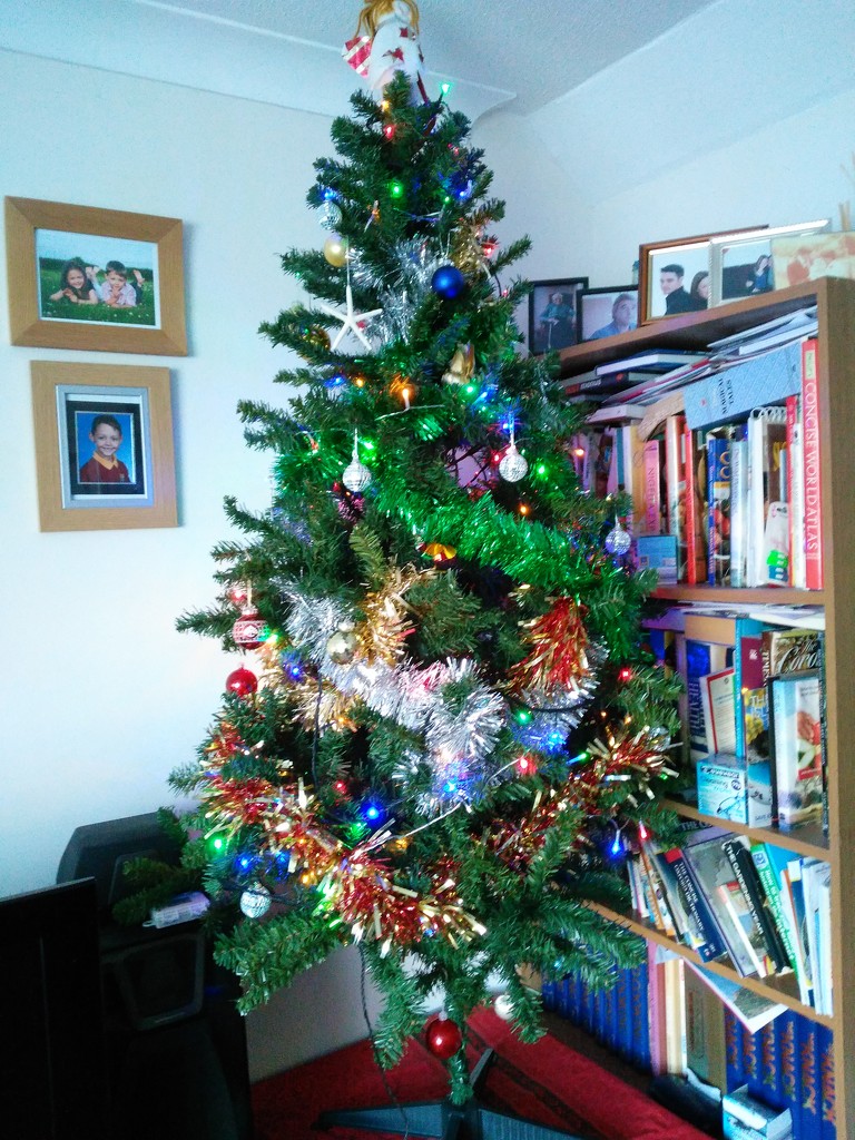 Christmas tree, decorated! by jmdspeedy