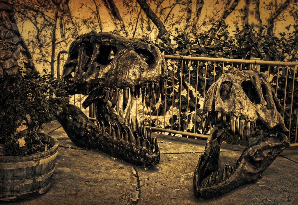 Dinosaurs by joysfocus