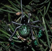 9th Dec 2017 - Day 343: Christmas Spiders !!!