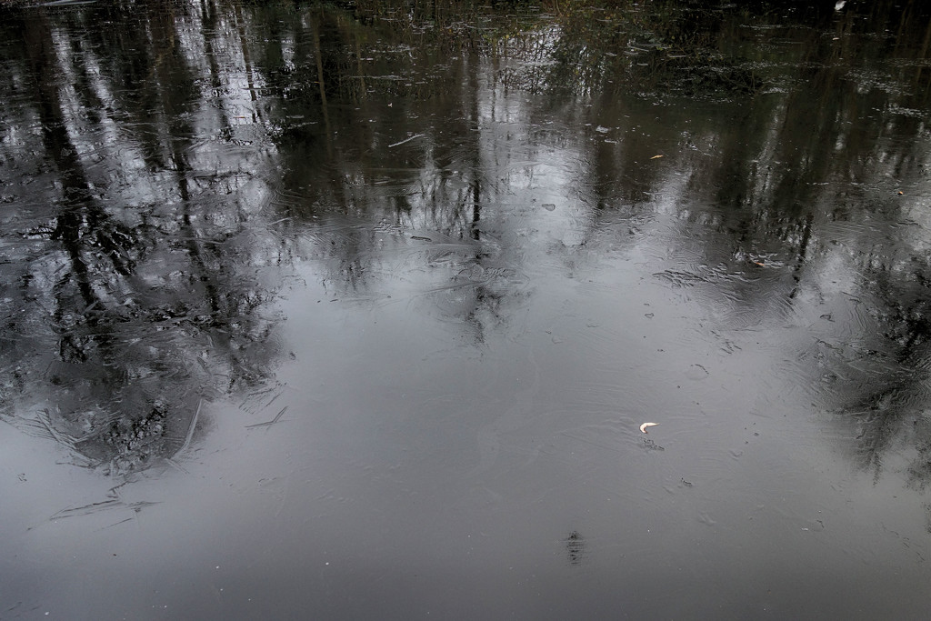 Reflections in ice by rumpelstiltskin
