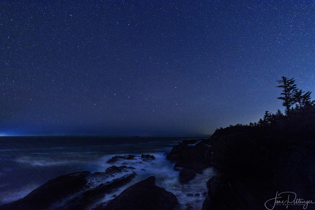 Big Dipper Looking North At Shore Acres by jgpittenger