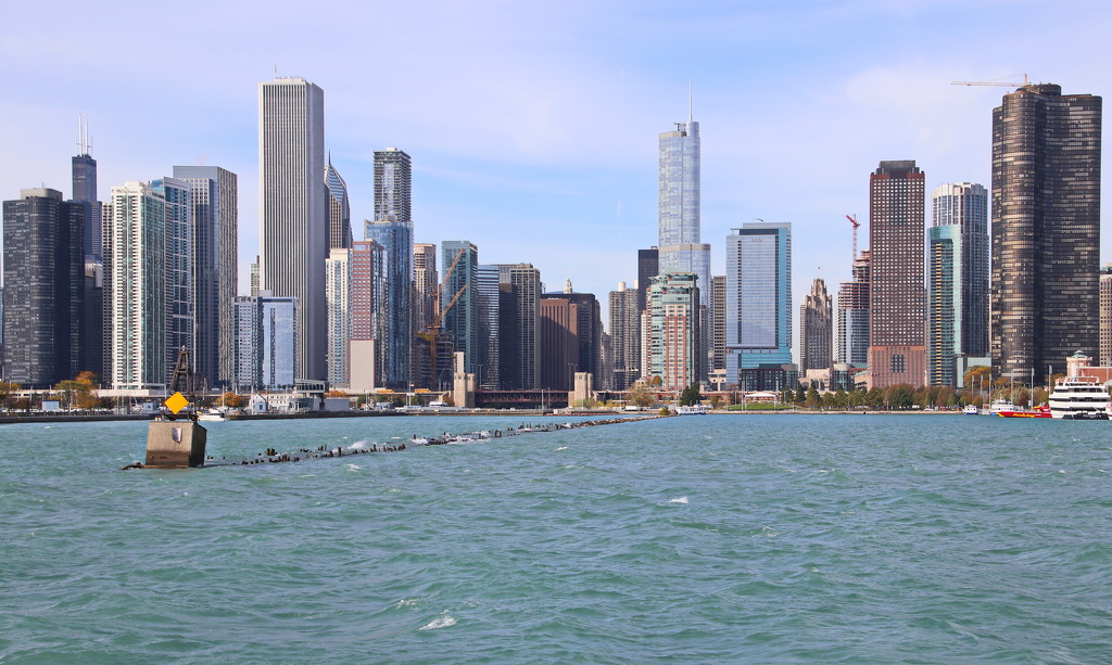 Chicago Skyline by terryliv