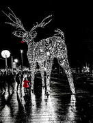 17th Dec 2017 - Sparkly Rudolph