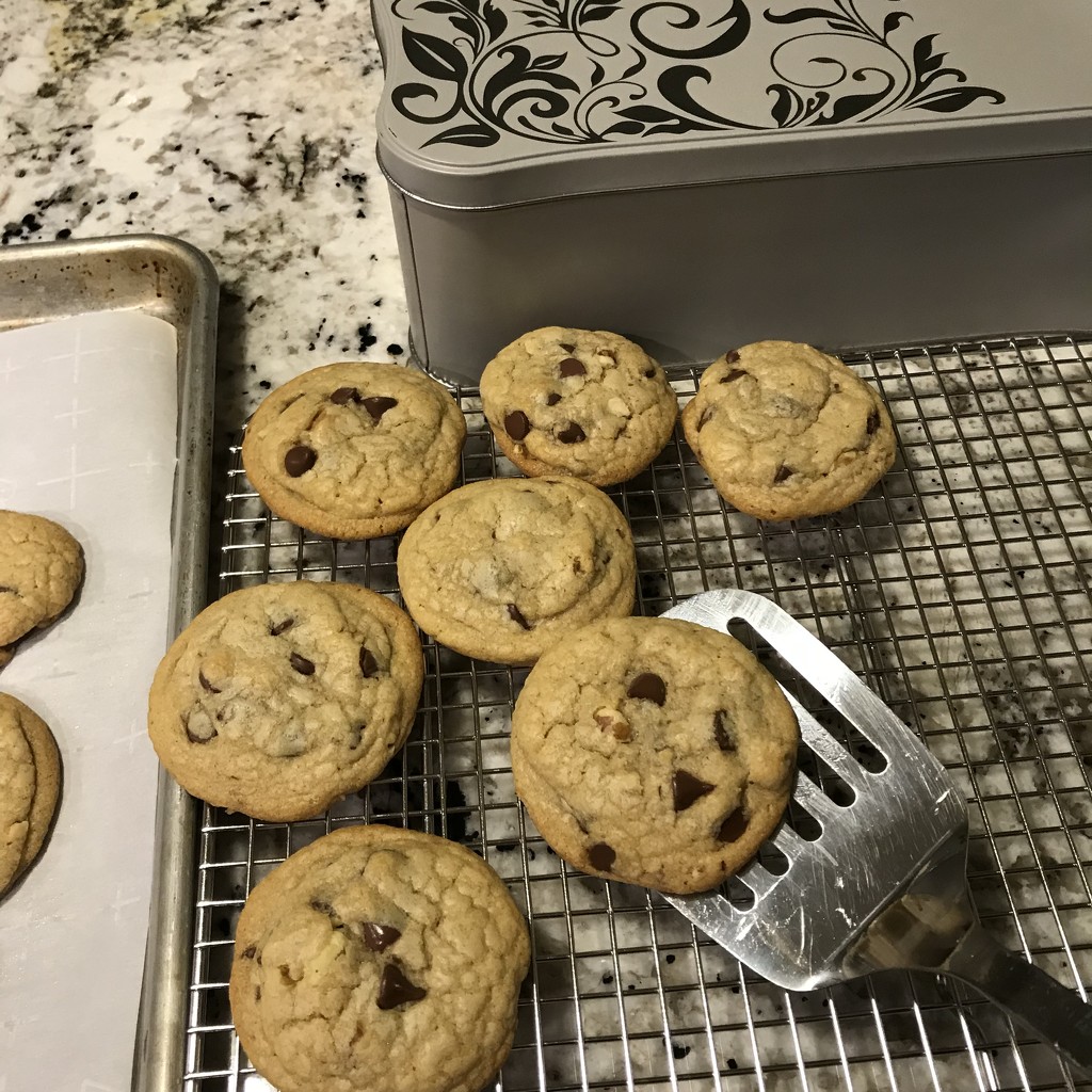 Making cookies  by beckyk365