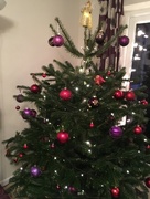 11th Dec 2017 - Christmas Tree