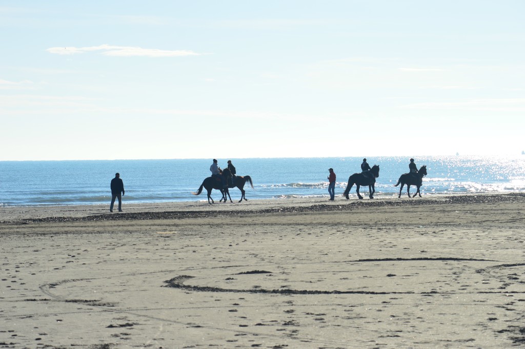 Horseback riding on the shoreline by caterina