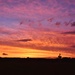 Glorious Sunset by nickspicsnz