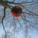 Christmas Bauble. by wendyfrost