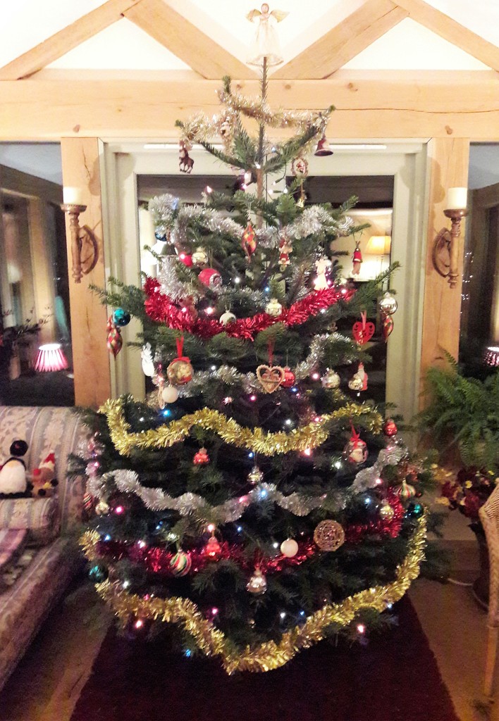 Our Christmas Tree by susiemc
