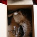 cat in the box by wenbow