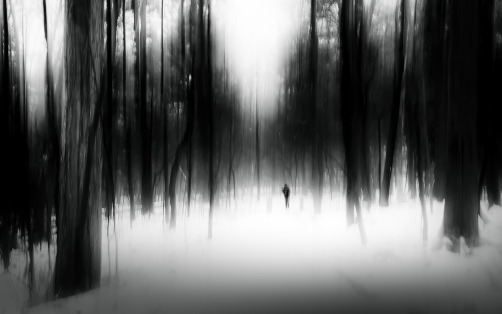 lonely woods by northy