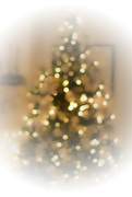 18th Dec 2017 - O Christmas Tree