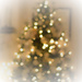 O Christmas Tree by judyc57