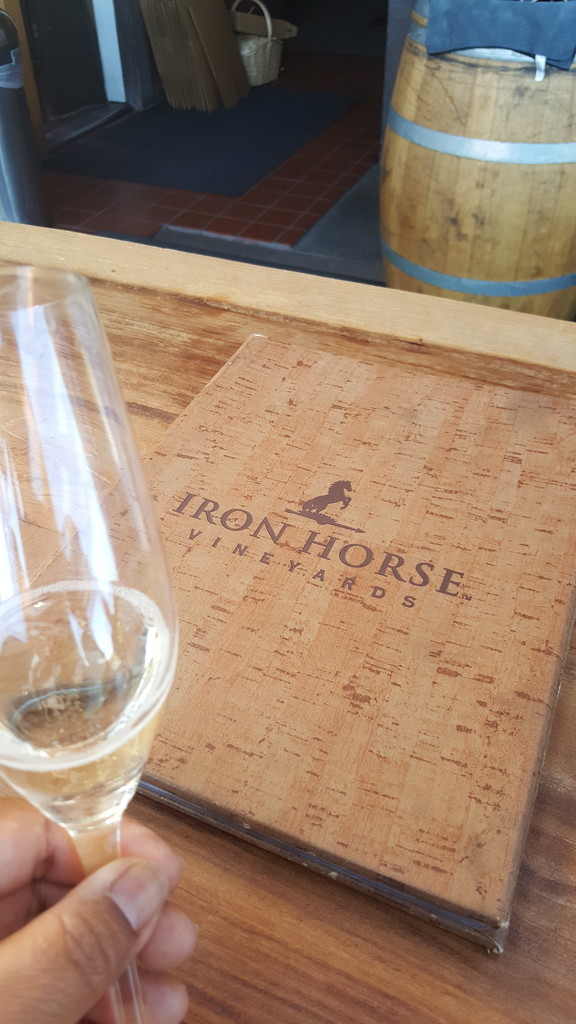 Iron Horse Vineyards by mariaostrowski