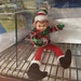 Elf in the Pyxis by 365projectorgkaty2