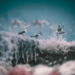 Day 1036 "Cold Feet" by kingstonroadcreative