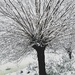 Snow filler by mastermek