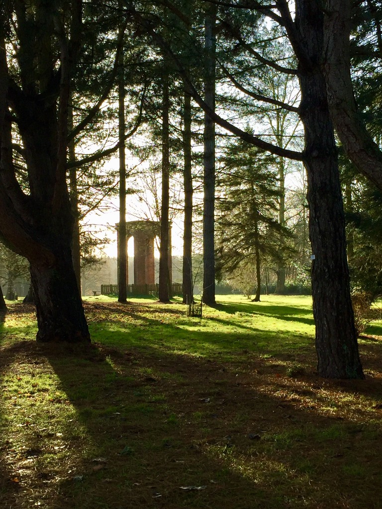 Lynford Arboretum by gillian1912