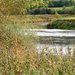 The River Wye at Winforton  by susiemc