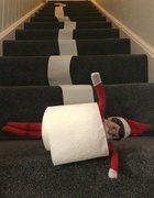 15th Dec 2011 - Mischievous Elf! - Rolly-rolly!!