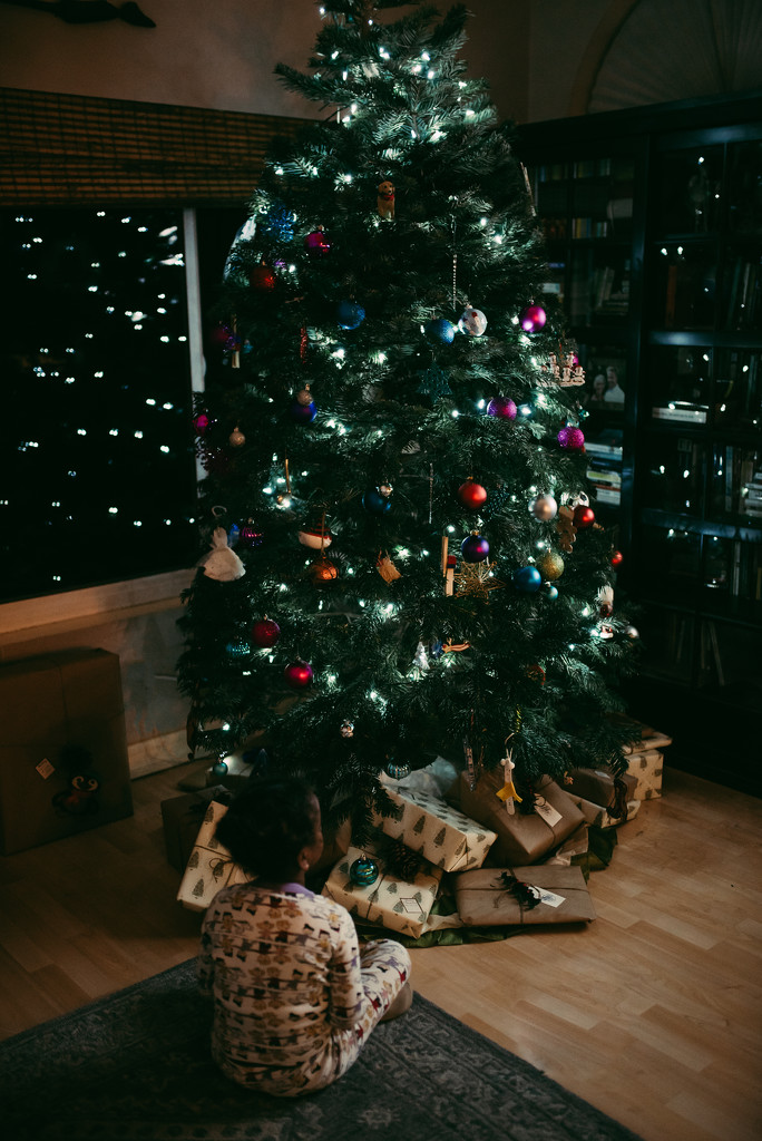 O, Christmas Tree! O, Christmas Tree! by cjoye