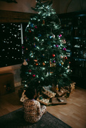 16th Dec 2017 - O, Christmas Tree! O, Christmas Tree!