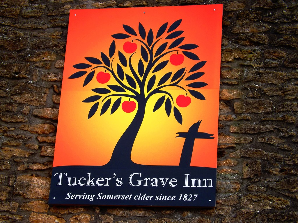Tucker's grave by ajisaac
