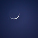 Tiny slip of a moon by danette