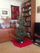 21st Dec 2017 - Honey I shrunk the Christmas tree 