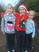 15th Dec 2017 - Advent 15 - Christmas Jumper Day